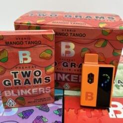 Blinkers 25 Disposable